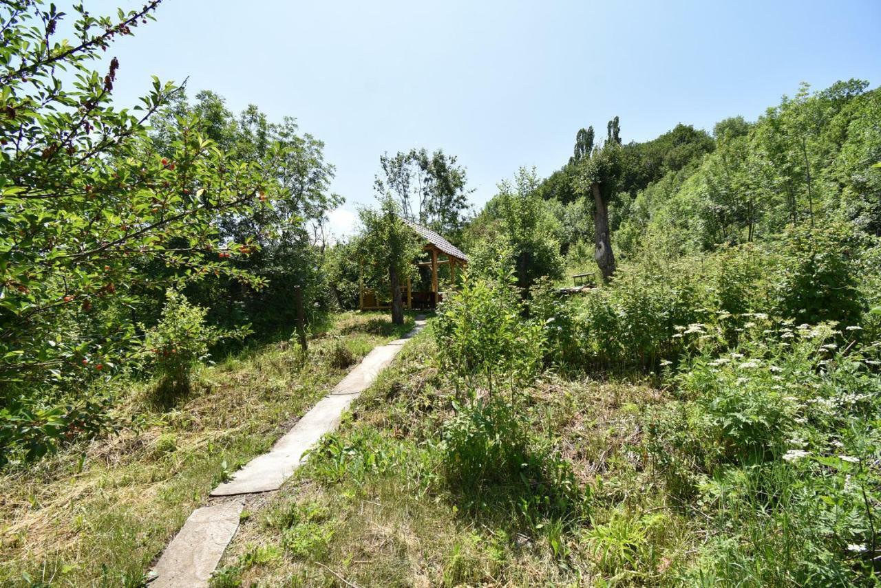 Guest House Arsan Tsaghkadzor Exterior photo